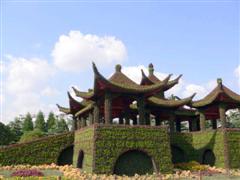 Topiary Photos